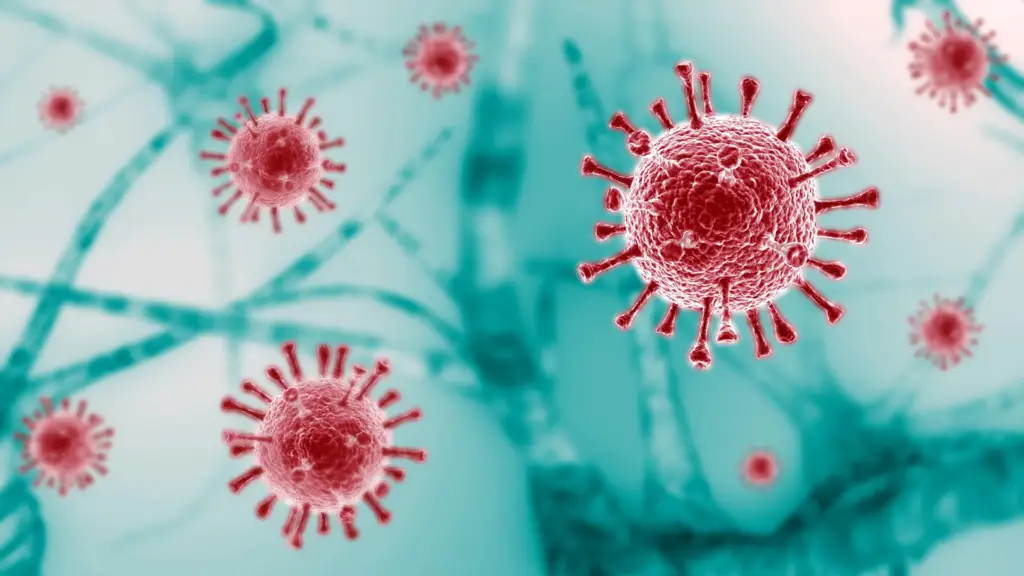 Microscopic view of red coronavirus particles with a blue background.