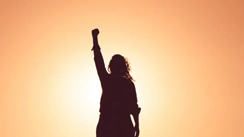 Silhouette of a person raising a fist against a warm sunset sky.