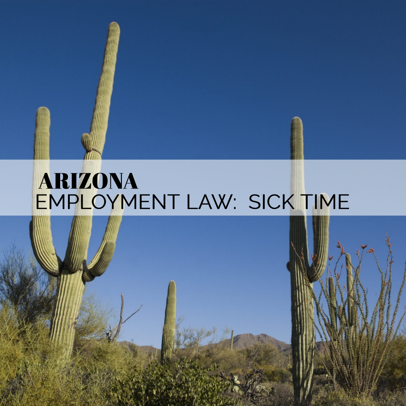 ARIZONA Employment Law Sick Time Bailey Law Firm Arizona