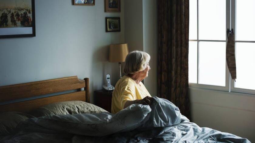 most common perpetrators of elder abuse