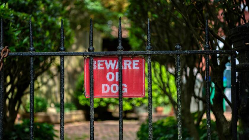 dog bite injury litigation