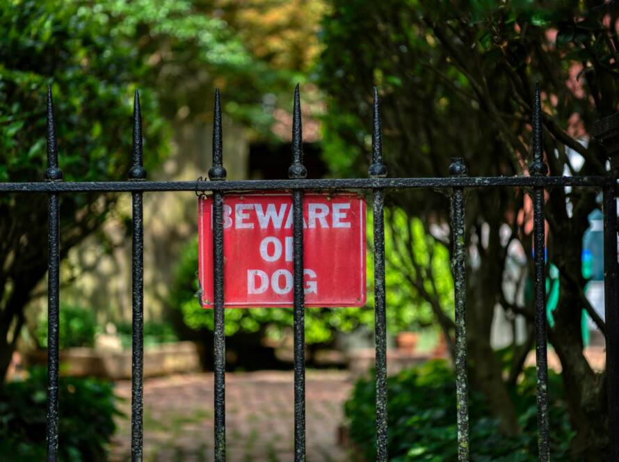 dog bite injury litigation